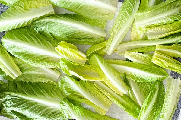 heart-lettuce