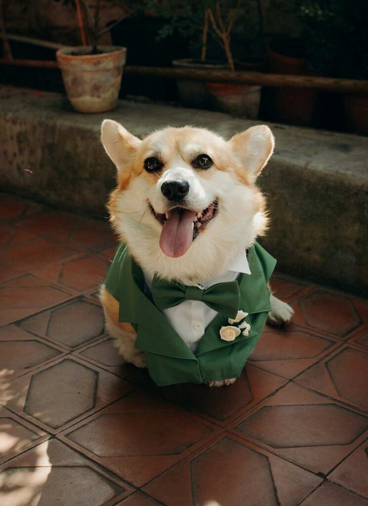 Bring Family and Pets Into It