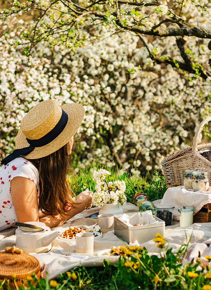 how-to-plan-picnic-in-the-park